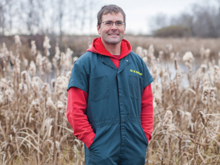 A deadly cattle condition returns to the Prairies