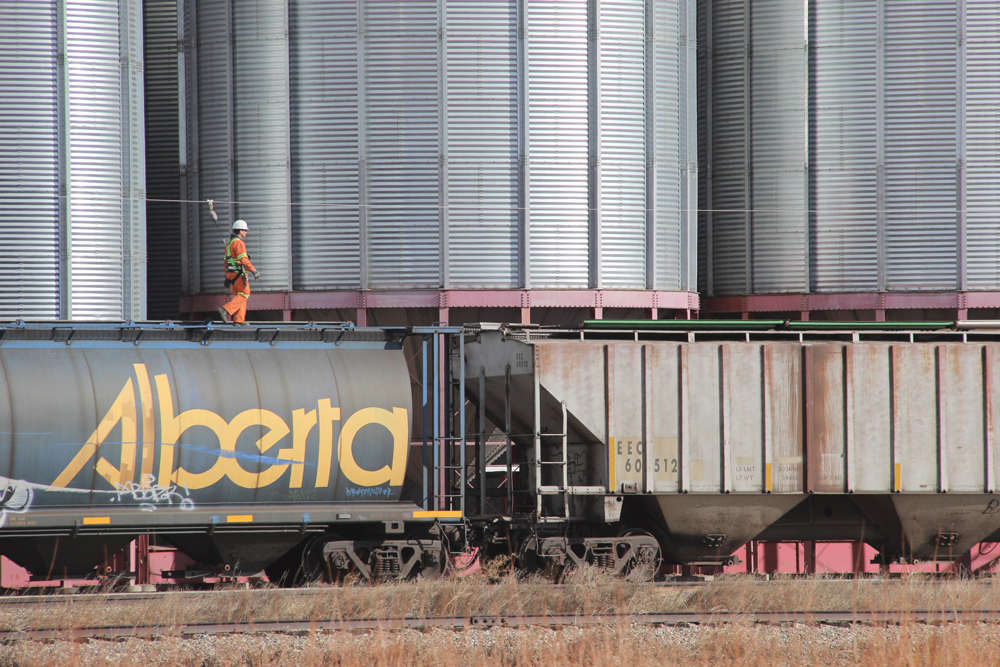 The Alberta Wheat Commission says Ottawa needs to address the “imbalance of market power” between railways and grain shippers.
