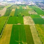 Aerial View of Farmland