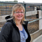 Federal research scientist Karen Schwartzkopf-Genswein found that cattle begin displaying signs of stress after 28 to 30 hours in transport.