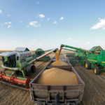 Wheat producers from Canada to Kazakhstan (where this photo was taken last month) have produced a bumper crop of wheat, which has pushed down prices. But demand for high-quality wheat is boosting the market for
No. 1 hard red spring.