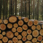 For some woodlot owners, turning logs into boards is a hobby. Those seeking a winter source of income should invest in more expensive sawmills needed for higher volumes of production.