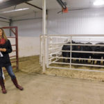 Susan Markus, beef specialist with Alberta Agriculture, is collaborating with the first livestock research class at Lakeland College on a project on feed efficiency in cattle.
