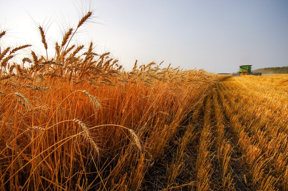 New Crop Missions deliver many benefits