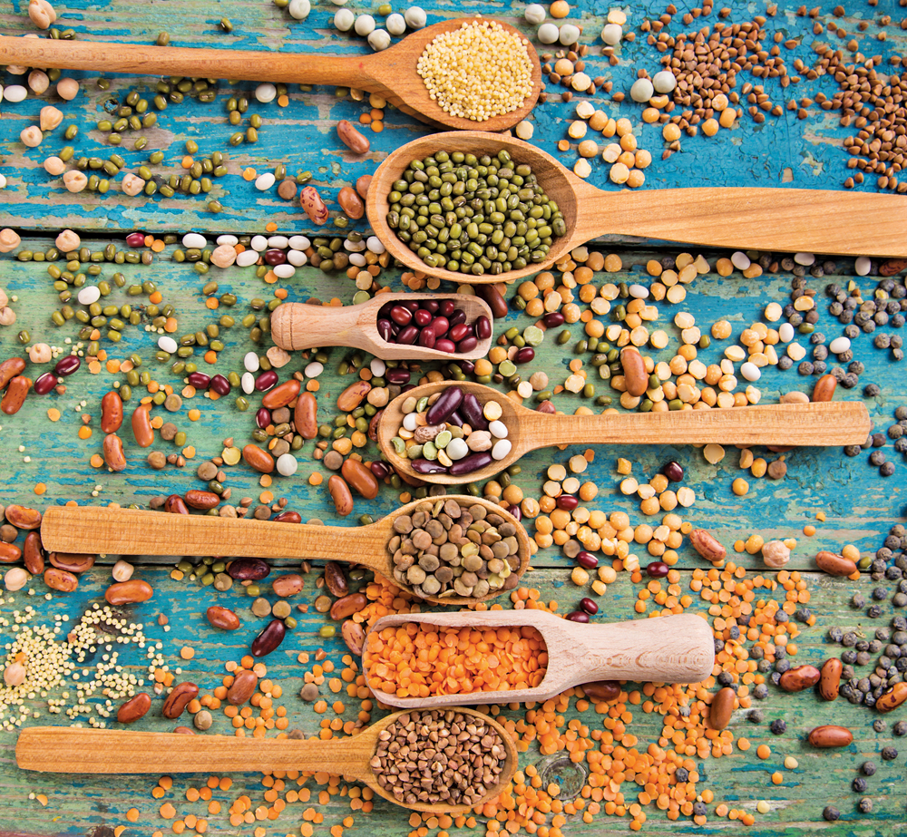 Pulses can be used for food ingredients as well as in snack foods, tortillas, and breakfast cereals.