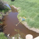 An Alberta Agriculture and Forestry employee samples a creek to help determine if BMPs are improving water quality.