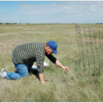 Researcher Tom Crozier inspects a sample ring from which grass has been cut to provide an on-the-ground sample of green grass in the pasture.