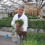Cattle feeders need to choose forage mixtures that will do more with less during a short growing season, says federal research scientist Yousef Papadopoulos.