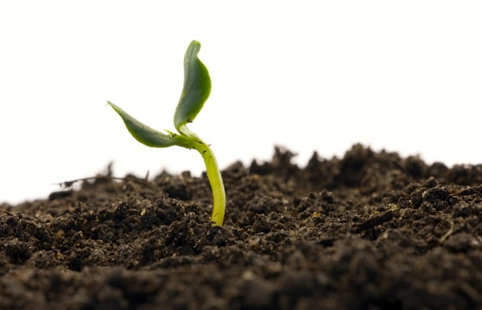 How to build a soil-health bank account