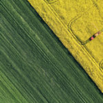 In spring, a farmer’s fancy turns to thoughts of getting more land — but don’t rush in to a purchase agreement, says a provincial farm financial specialist.