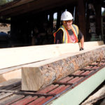 Many of the wooden corrals, gateposts, and log homes in the foothills west of Calgary were supplied by
Brooks Sawmill near Cochrane. The family business has been in operation for nearly 100 years.