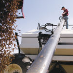 Seeding late is a big worry but there are crop choices that can reduce the risk.