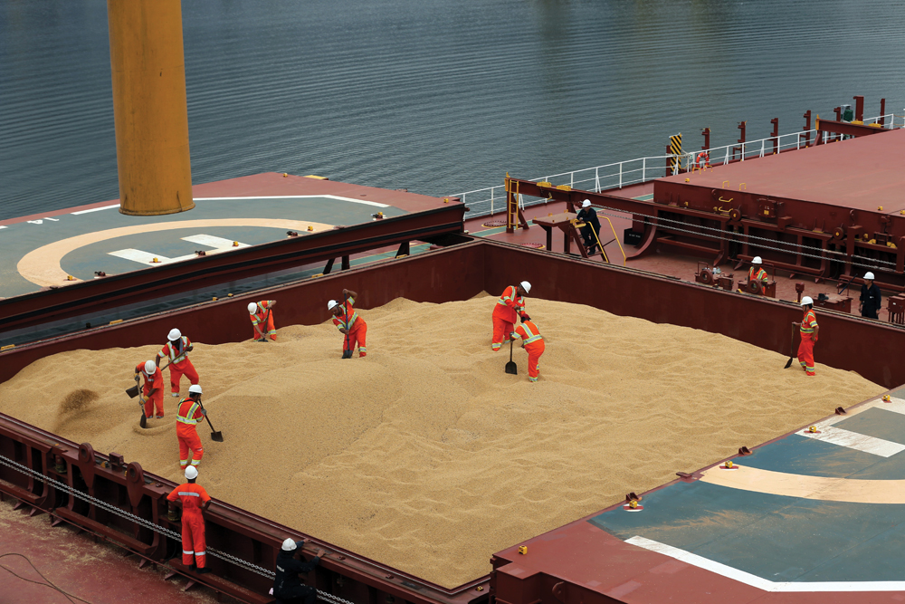 There’s a worldwide glut of most major grains, but analysts are optimistic that Prairie farmers will see some price improvement this year. This photo shows workers loading soybeans in March for export to China.