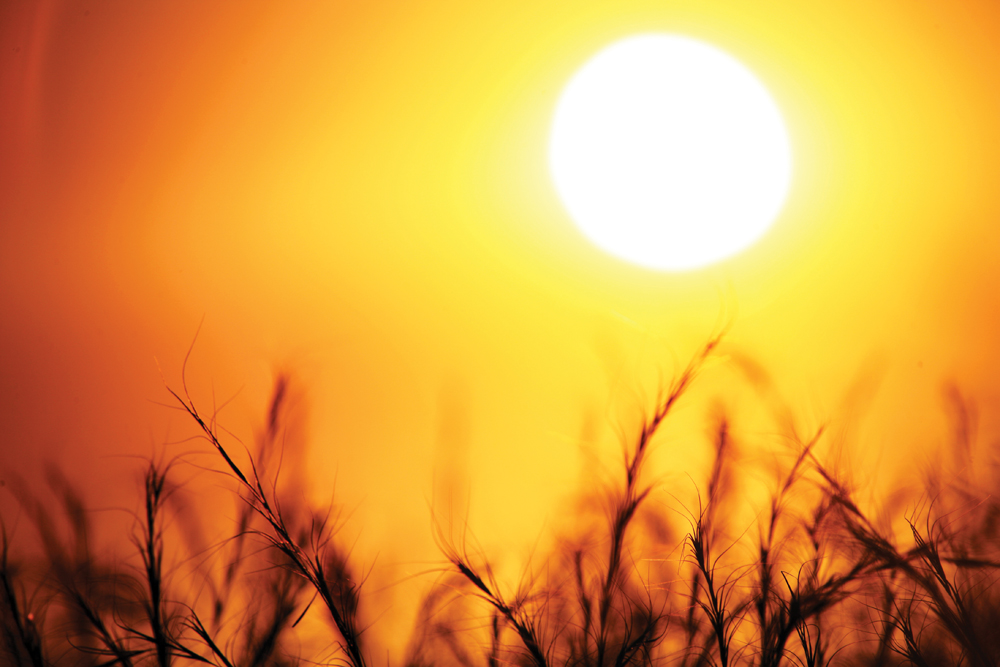 There’s been enough pretty sunsets this summer — what most want is rain.  But subsoil moisture and no till have prevented a train wreck so far.
