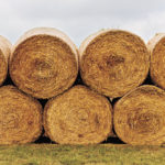 When bales touch each other, losses of dry matter, protein and energy go up.
