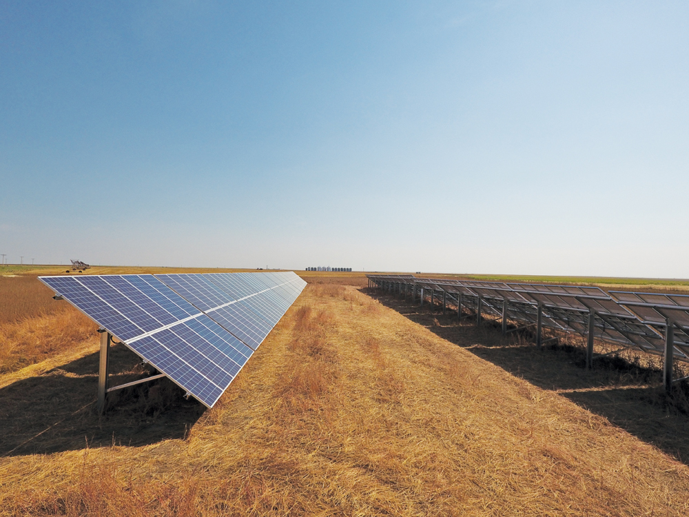 This array on Merlinds Farms is the first large-scale solar system in the province used to power irrigation pivots.