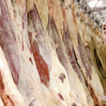 Carcass defects are costly, and much of that cost ultimately works its way back to producers.