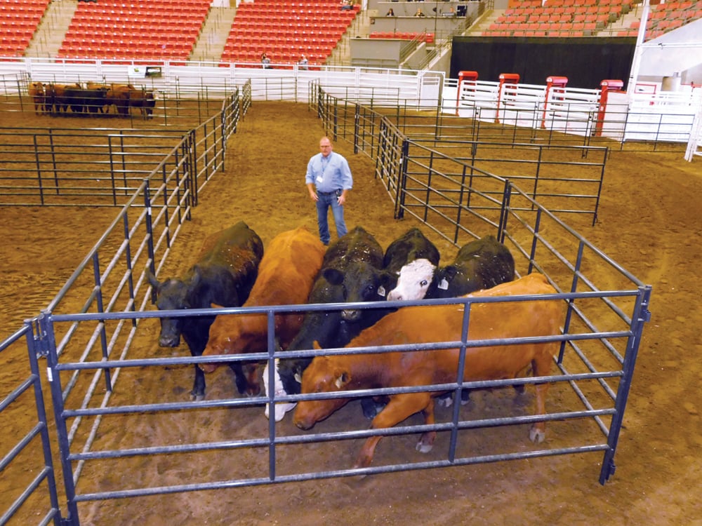 Dr. Kip Lukasiewicz showed how to move cattle without the use of force or props during a session at the Canadian Beef Industry Conference.