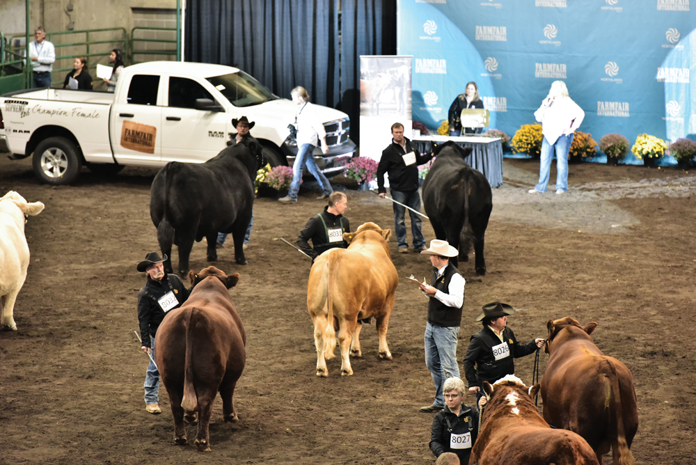 The Alberta Supreme Show features breed champions from all three of the top cattle shows in Alberta to name two Alberta Supreme Grand Champions. It takes place Nov. 11 at 4 p.m. in Hall D.