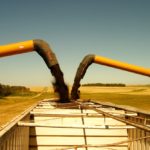 Deferred cash tickets help farmers smooth their annual farm income by allowing them to defer a portion of commodity sales to be taxed in the following year.