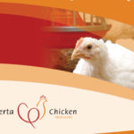 Four years after leaving the national chicken organization, Alberta Chicken Producers has a new quota deal and is back in the fold.
