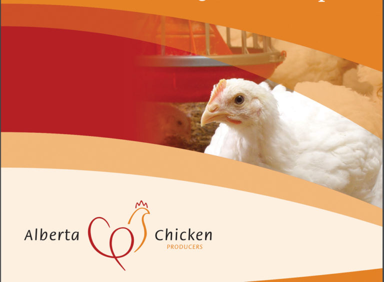 Alberta rejoins the flock with new national chicken quota deal