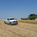 Two members of the Farming Smarter research team collect seed samples for a field-scale trial.