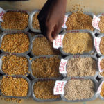 Pulse samples at a wholesale market in southern India — the nation’s government stunned market watchers by imposing a 50 per cent tariff on peas last month in a bid to boost prices for its farmers.