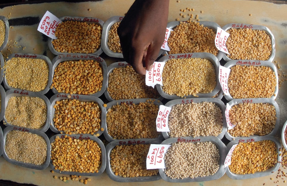 Pulse samples at a wholesale market in southern India — the nation’s government stunned market watchers by imposing a 50 per cent tariff on peas last month in a bid to boost prices for its farmers.