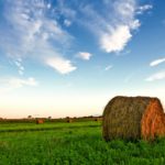 Bale of hay in farm field