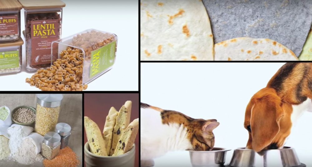 Pulses are being used as ingredients in a growing list of products — from pasta to pet foods — and that has experts predicting acreage of peas, lentils, and other pulses will rise sharply over the longer term.