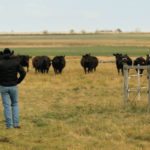 In a video profiling Shoestring Ranch, Ian Murray describes the philosophy that drives management decisions at his operation.