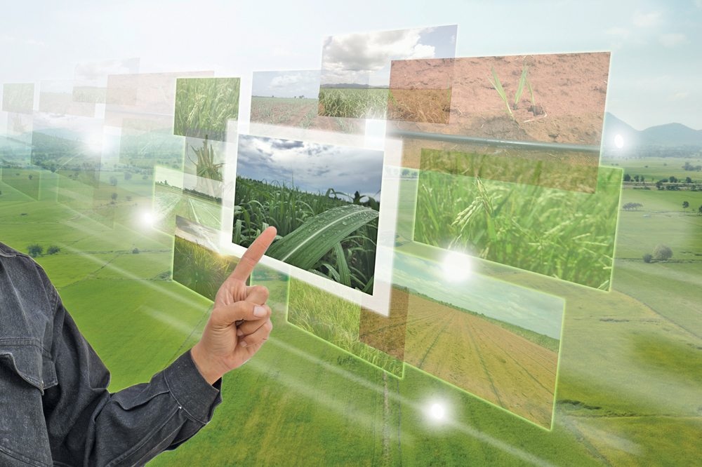 Two agriculture and food initiatives are contenders for Ottawa’s billion-dollar plan to kick-start the nation’s new economy — but will it pick Big Data or plant-based proteins?