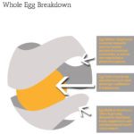 The Egg Processing Innovations Cooperative in Lethbridge has 140
farmer-owners and processes smaller eggs that used to be sent to Manitoba or B.C.