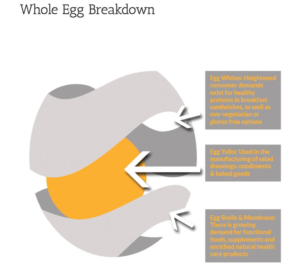 The Egg Processing Innovations Cooperative in Lethbridge has 140  farmer-owners and processes smaller eggs that used to be sent to Manitoba or B.C.