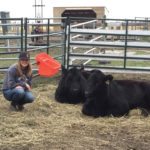 Lois Schultz of the Coal Lake Light Horse 4-H club won top honours at this year’s Canadian Young Speakers for Agriculture’s national competition with an inspirational speech on reducing food waste.