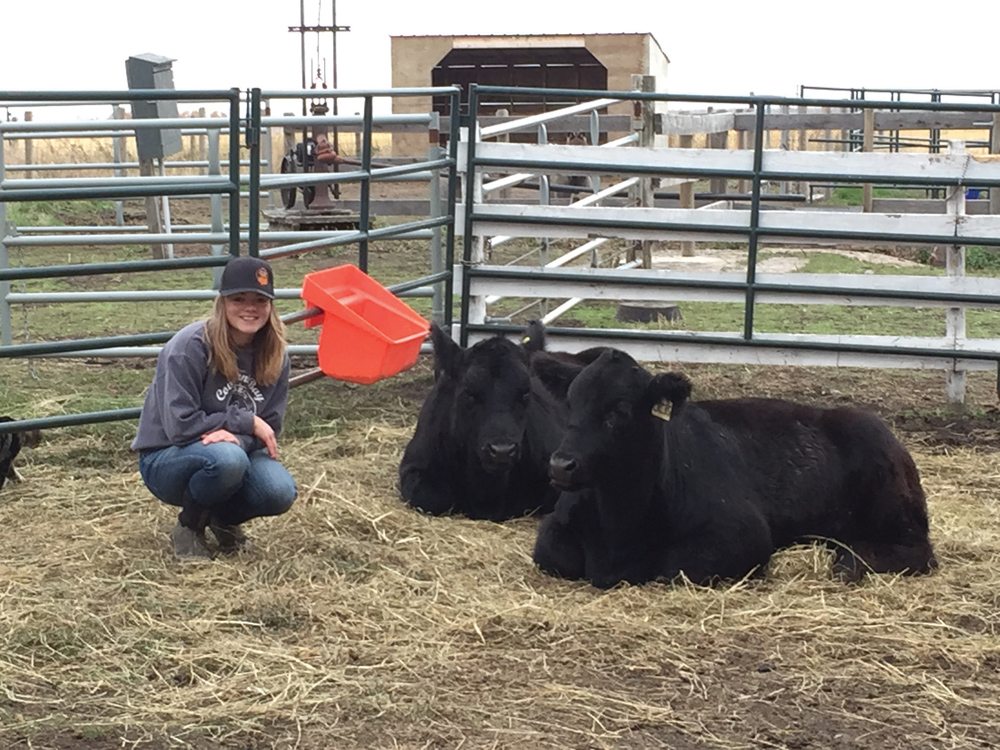 Lois Schultz of the Coal Lake Light Horse 4-H club won top honours at this year’s Canadian Young Speakers for Agriculture’s national competition with an inspirational speech on reducing food waste.