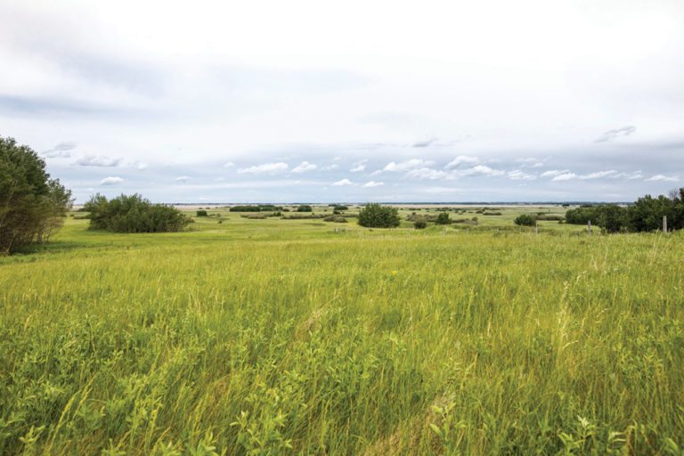 Donation preserves central Alberta wetlands and grasslands Alberta