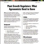 Get the lowdown on plant growth regulators and crop varieties