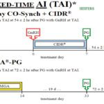 Attention to detail is key in a synchronization program