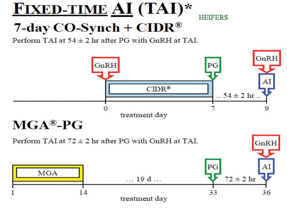 Attention to detail is key in a synchronization program