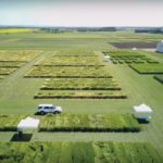 Boosting average barley yields to 95 bushels an acre in the next decade is a key part of Alberta Barley’s strategy to revitalize the sector. Pictured in this Alberta Barley video is the Field Crop Development Centre at Lacombe.