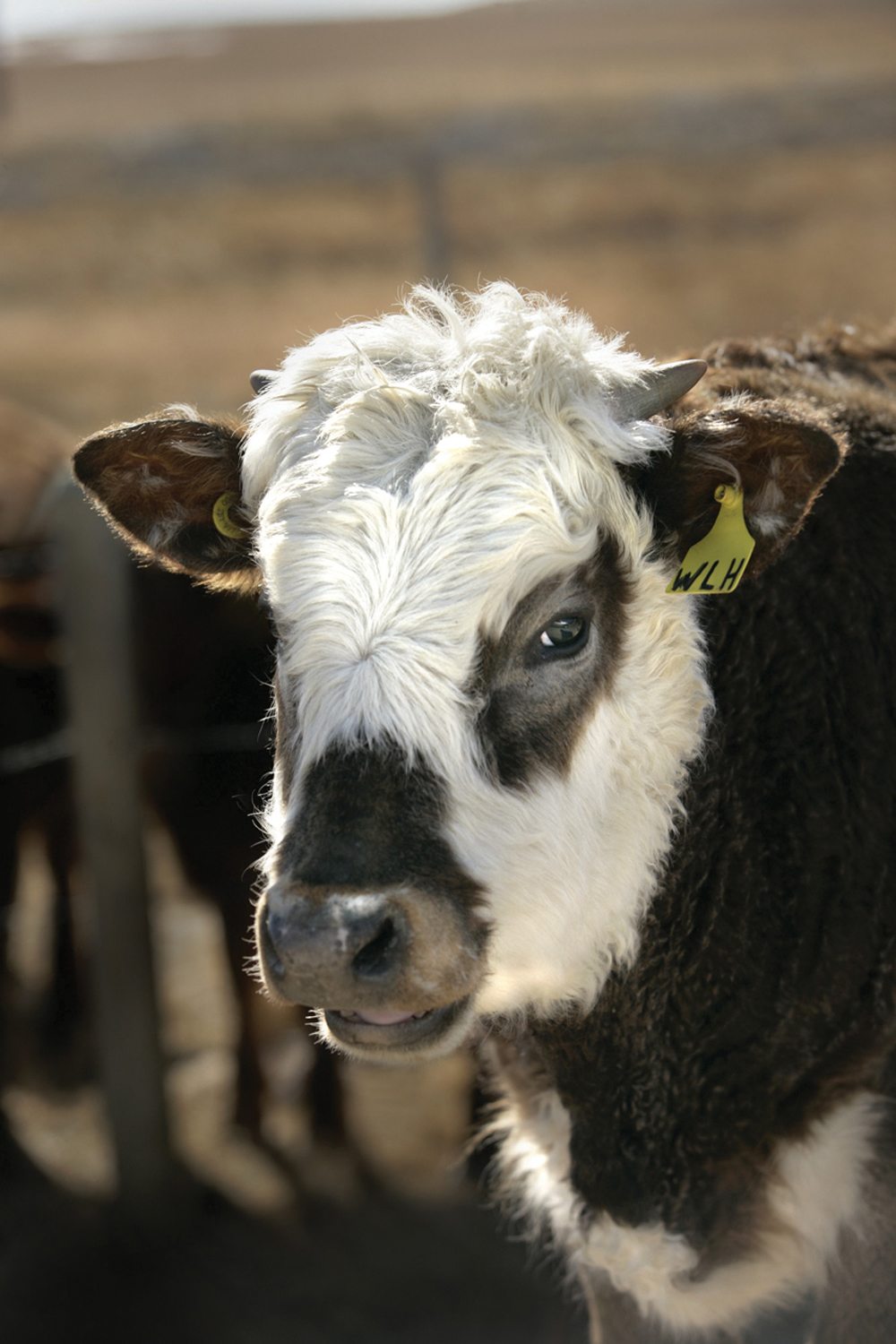 Proper use of parasite control products is more important than ever as concerns about drug resistance mounts.