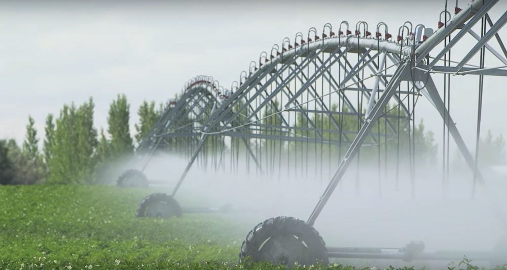 Irrigation generates $3.2 billion for the Alberta economy and has expansion potential, says a report from the  Alberta Land Institute.