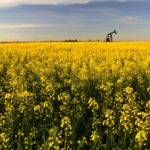 Orphan wells a growing problem for Alberta farmers