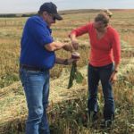 Stacy Singer, seen here with mentor Graeme Finn on his farm in September, says understanding what graziers want and need from new forage varieties helps to guide her cutting-edge research.