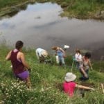 This photo from the website of the Agroforestry and Woodlot Extension Society shows willow cuttings being planted in a riparian area.