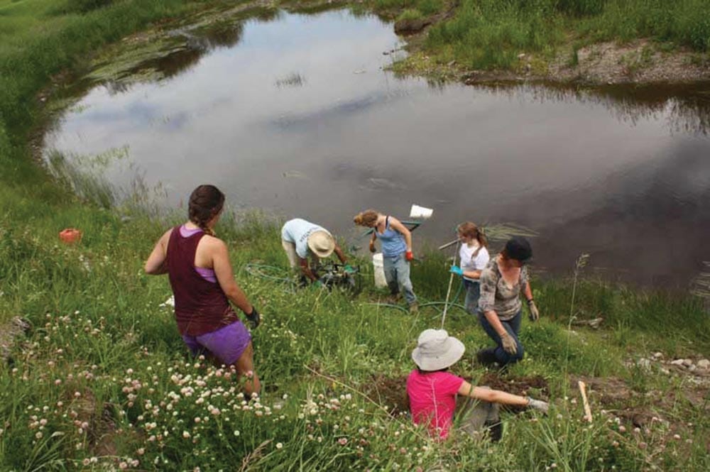 This photo from the website of the Agroforestry and Woodlot Extension Society shows willow cuttings being planted in a riparian area.