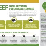 McDonald’s is using this graphic to explain what ‘verified sustainable’ beef means and how it is produced.
Cargill has been slaughtering and processing all the cattle in the Canadian Beef Sustainability Acceleration pilot.