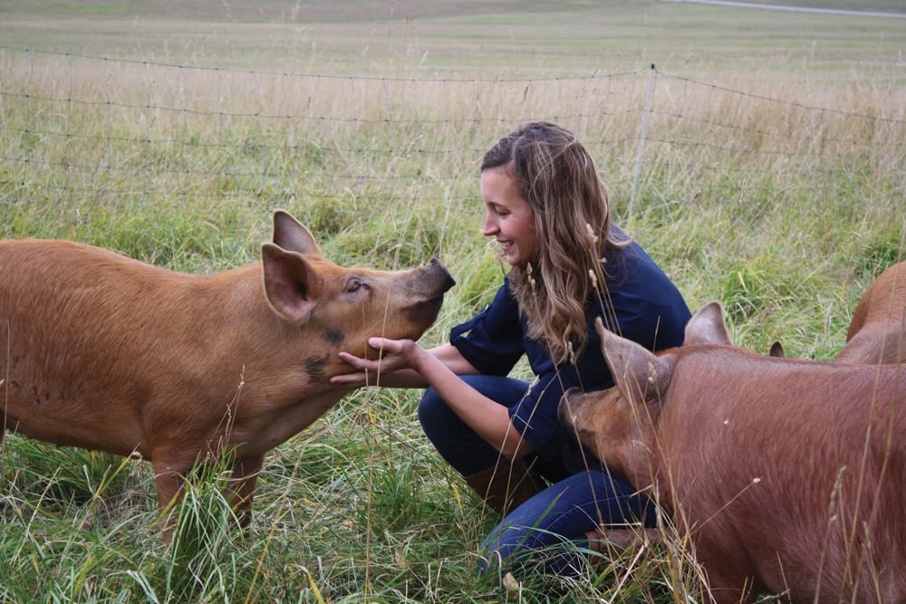 The pigs raised by Steph Campbell and husband Ben arrive in spring and are butchered in the fall.
Selling pork and eggs allows the couple to generate more sales from their customer base. 